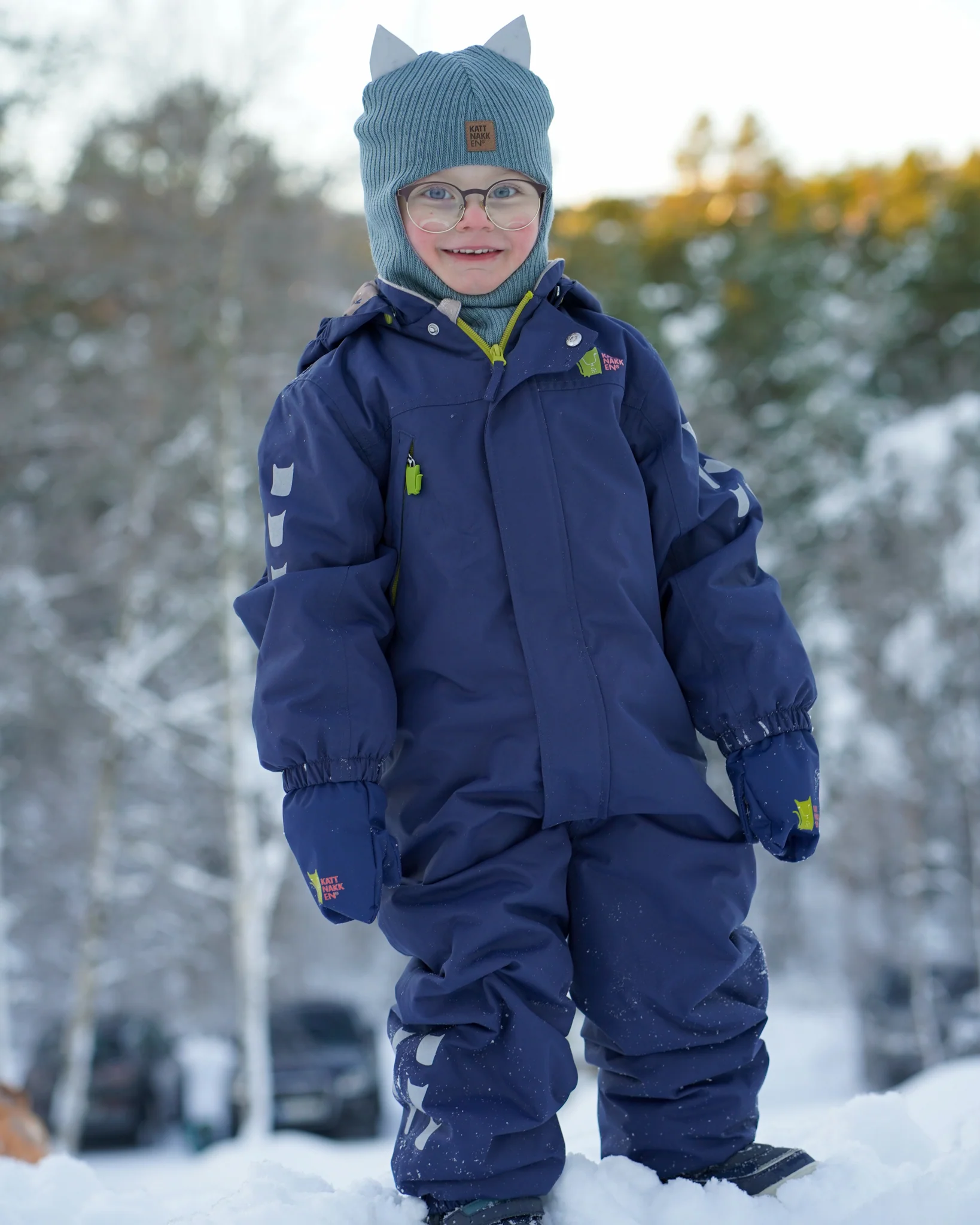 Miniatyr 1